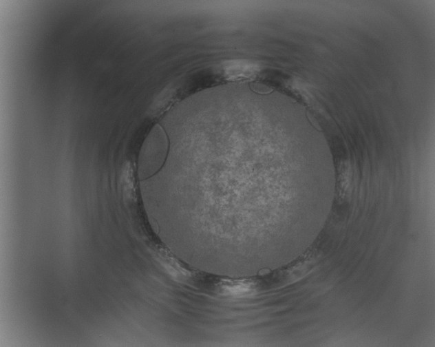 X0000074970667200609081413