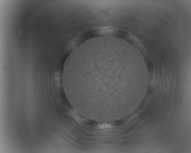 X0000074970669200609081413