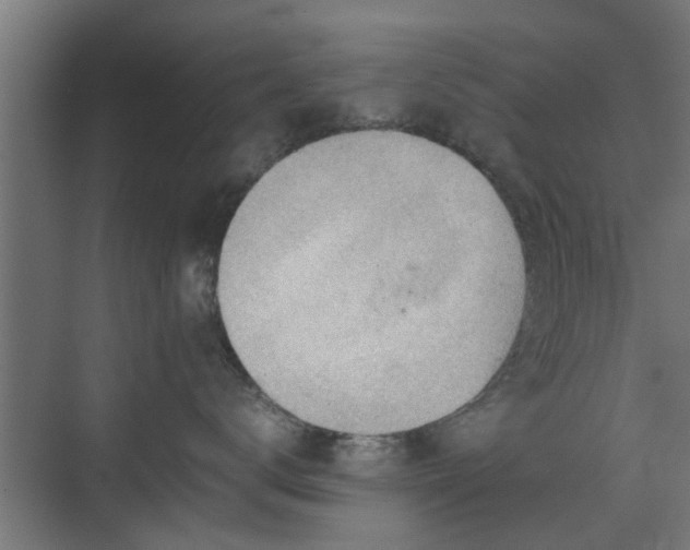 X0000074970672200609081413