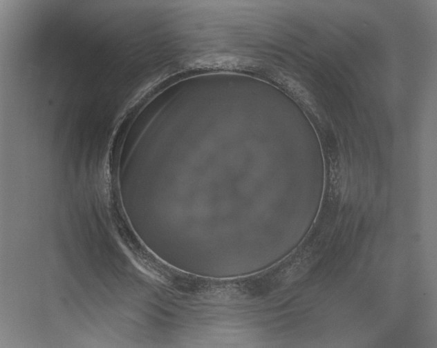 X0000074970674200609081412