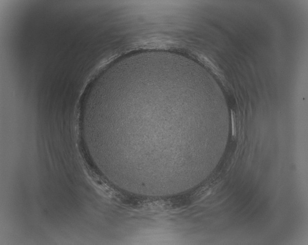 X0000074970675200609081412