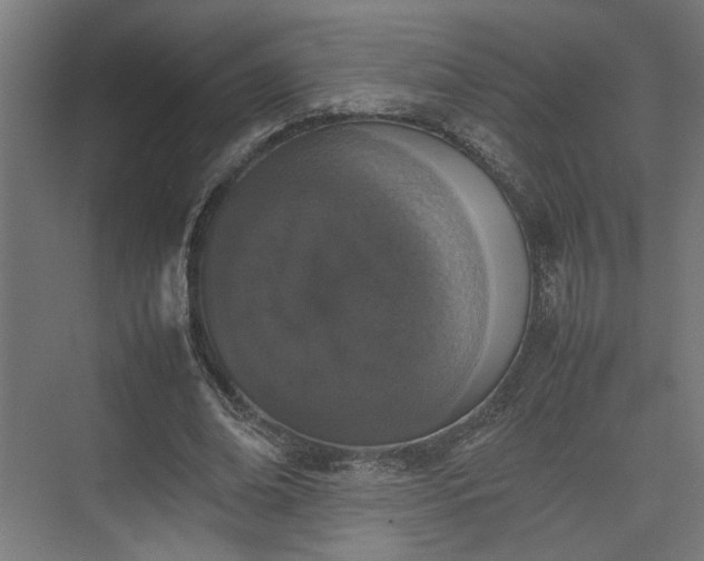 X0000074970678200609081412