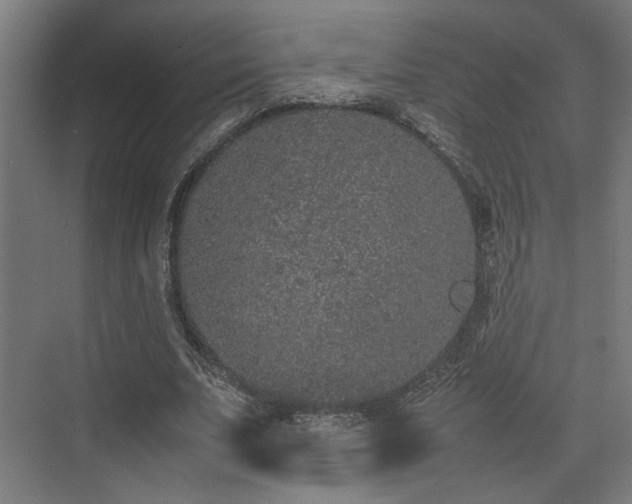 X0000074970679200609081412