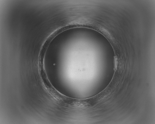 X0000074970680200609081412