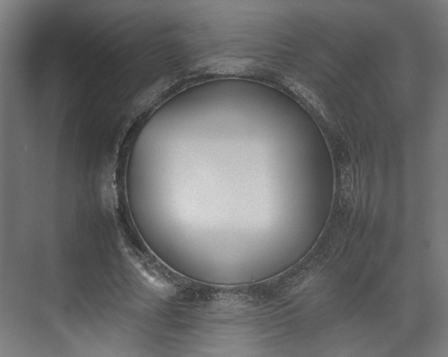 X0000074970682200609081412