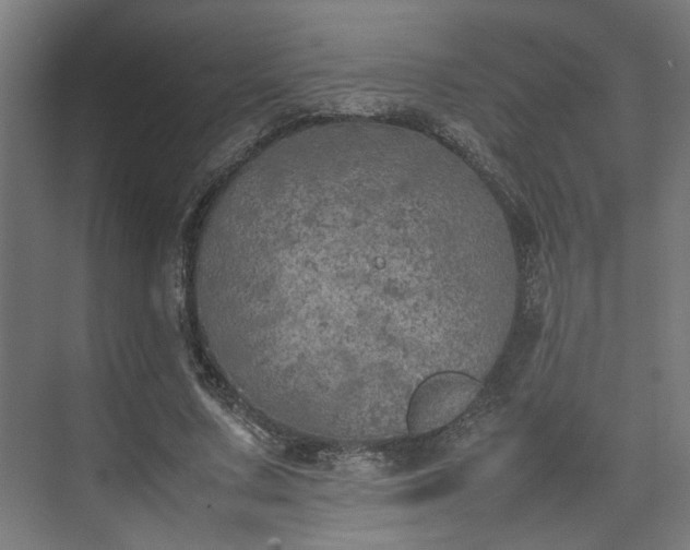 X0000074970683200609081412