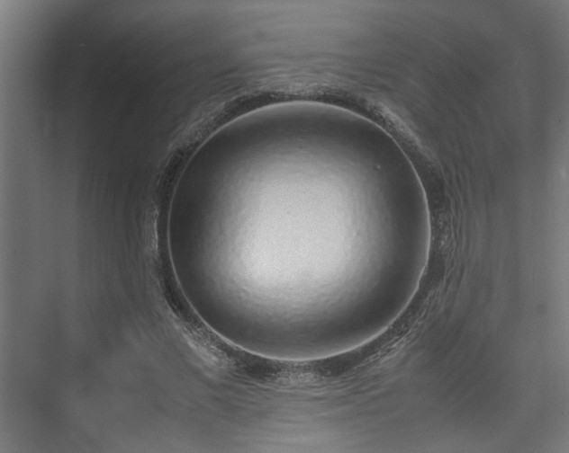 X0000074970685200609081412