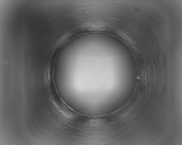 X0000074970686200609081412