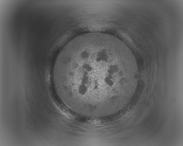 X0000074970687200609081412