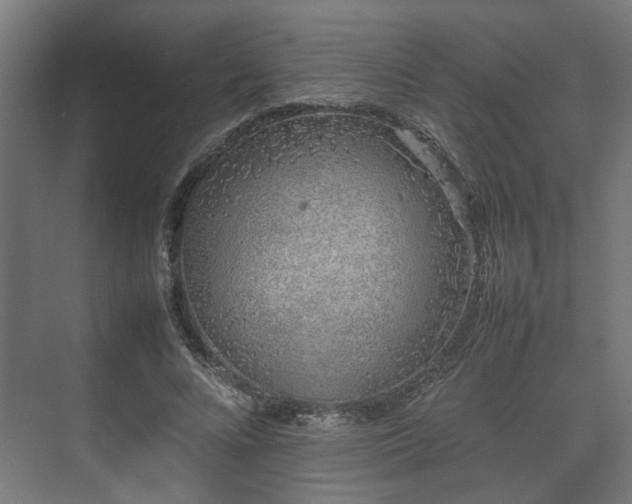 X0000074970688200609081412