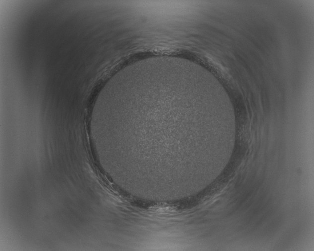 X0000074970689200609081412