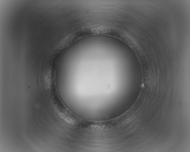 X0000074970690200609081412