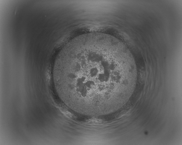 X0000074970691200609081412