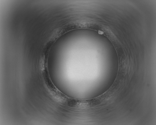 X0000074970694200609081412