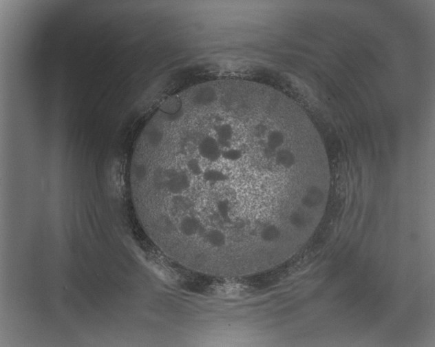 X0000074970695200609081412