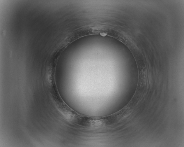 X0000074970698200609081412