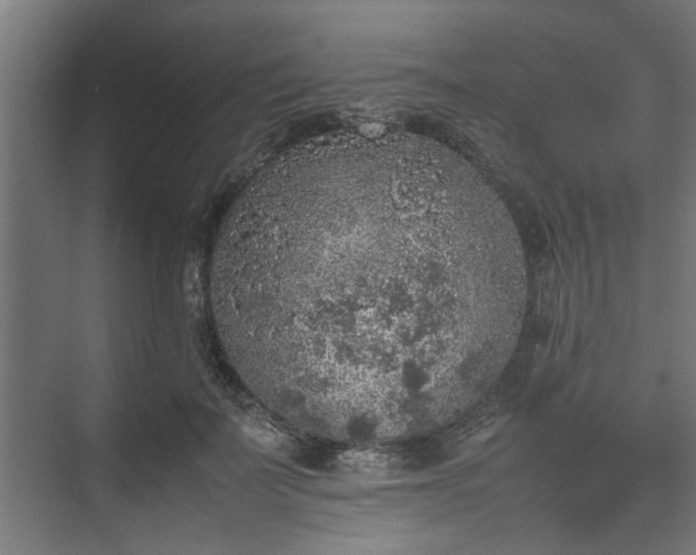 X0000074970699200609081412