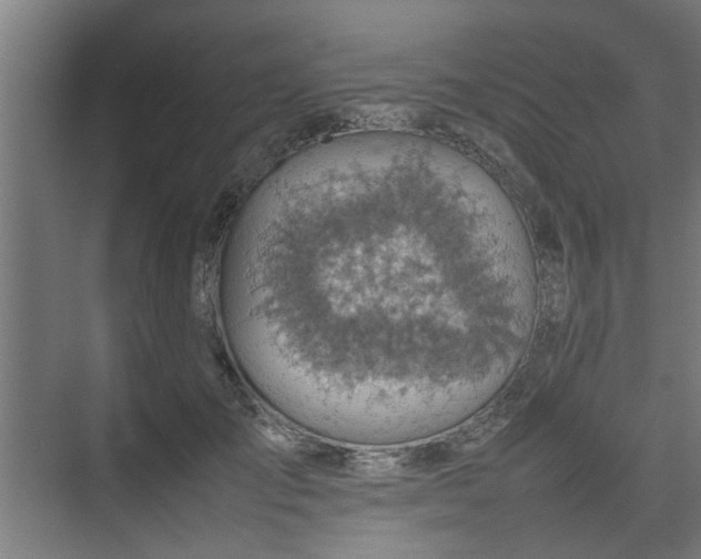 X0000074970701200609081412