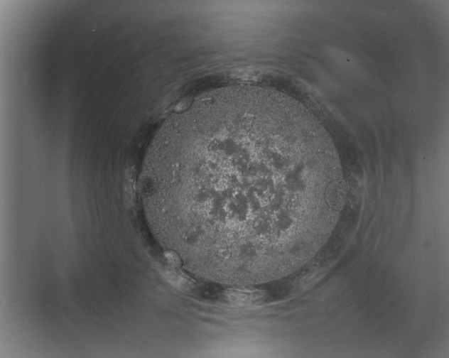 X0000074970707200609081411