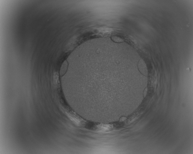 X0000074970711200609081411