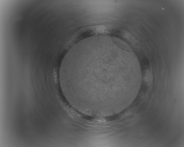 X0000074970715200609081411