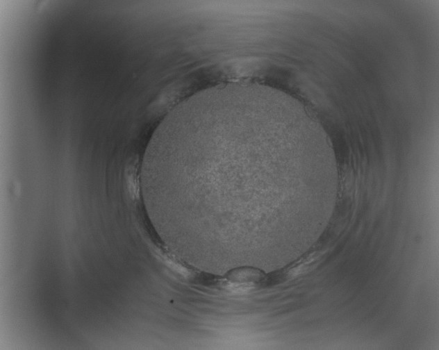 X0000074970719200609081411