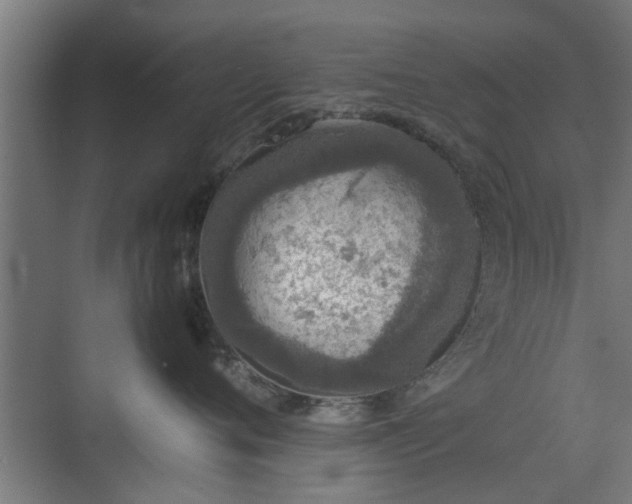 X0000074970720200609081411