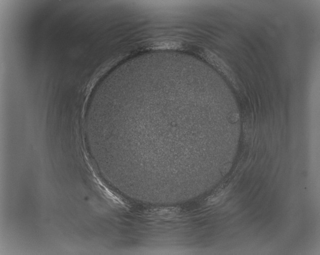 X0000074970721200609081410