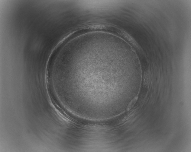 X0000074970722200609081410