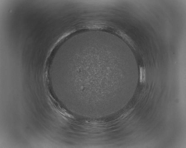 X0000074970723200609081410