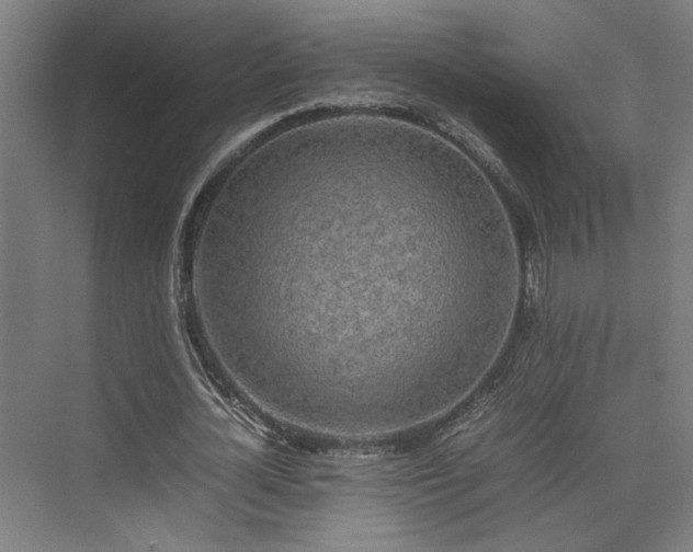 X0000074970724200609081410