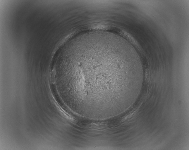 X0000074970725200609081410