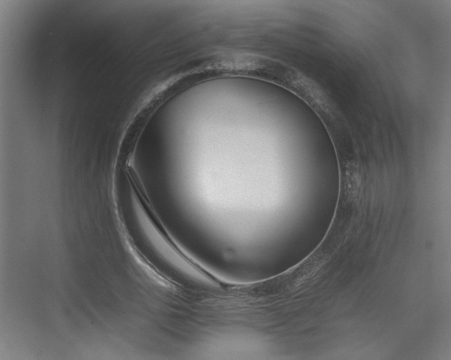 X0000074970726200609081410