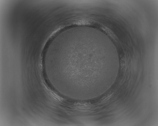 X0000074970727200609081410