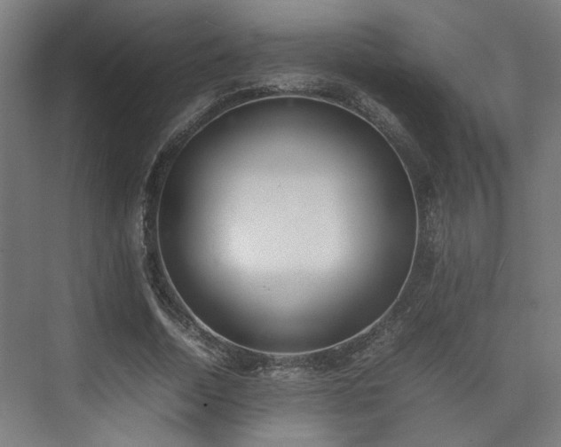 X0000074970730200609081411