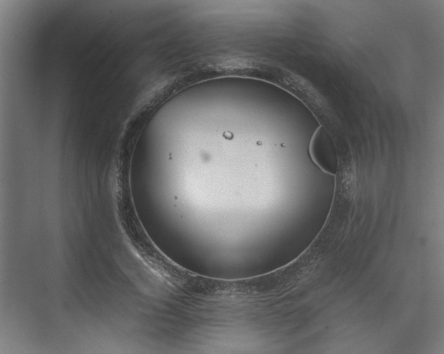 X0000074970732200609081411