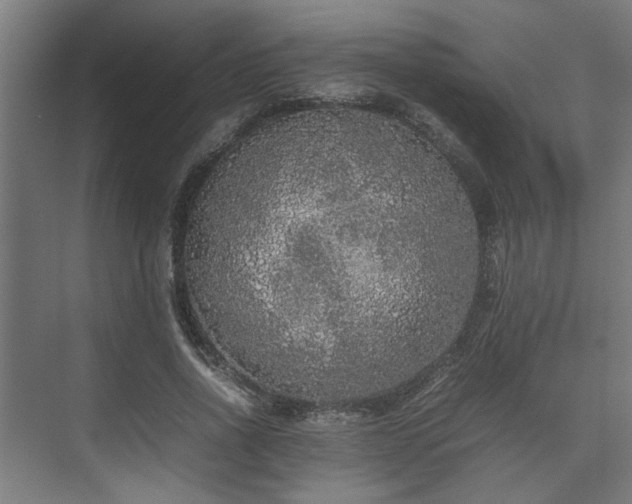 X0000074970734200609081411