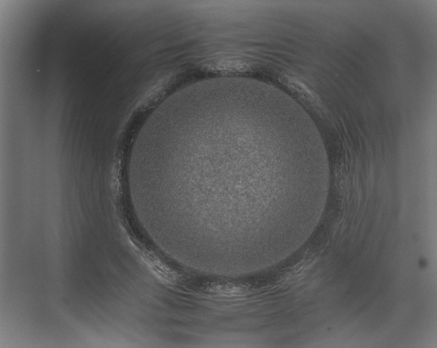 X0000074970735200609081411