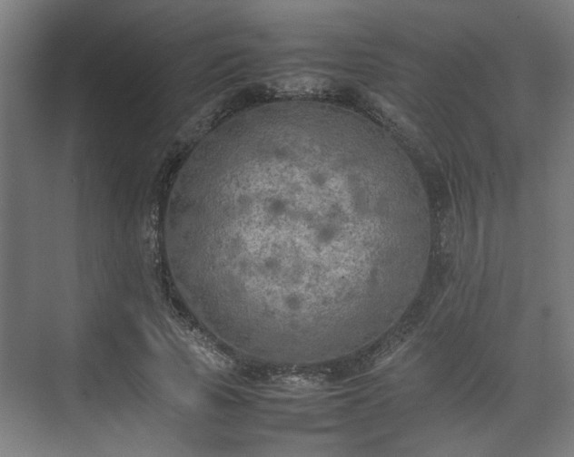 X0000074970737200609081411