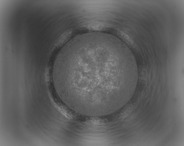 X0000074970738200609081411