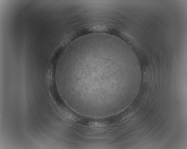 X0000074970739200609081411