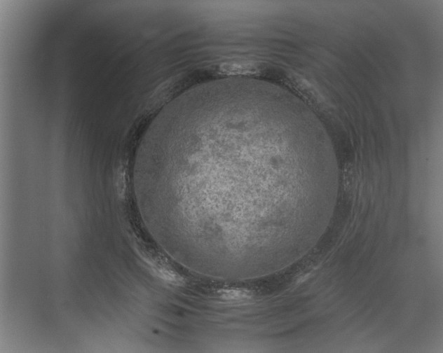 X0000074970741200609081411