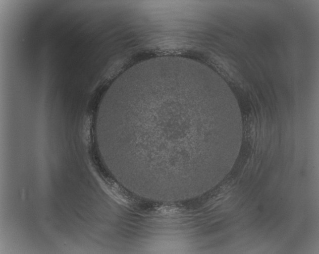 X0000074970742200609081411