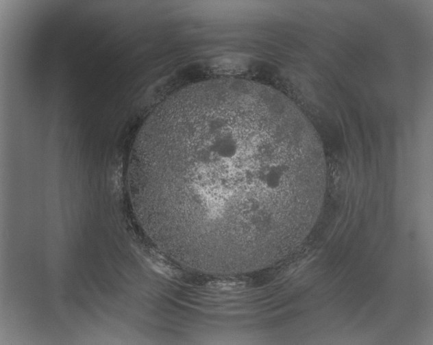 X0000074970745200609081411