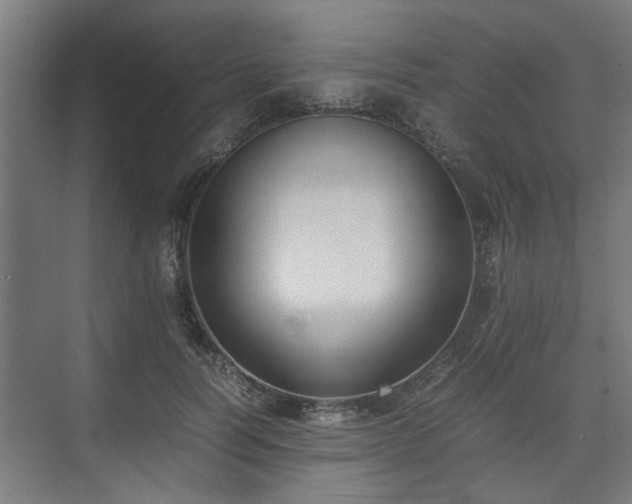 X0000074970746200609081411