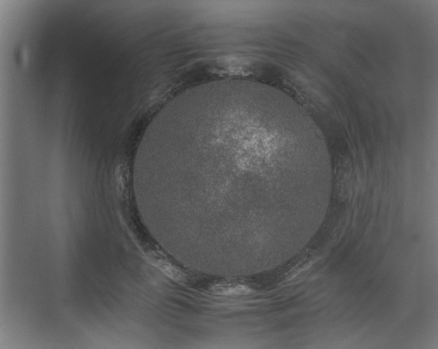 X0000074970747200609081411