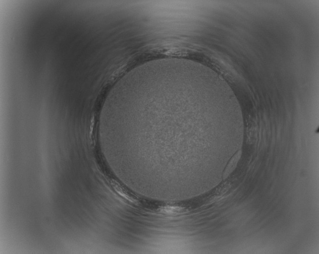 X0000074970748200609081411