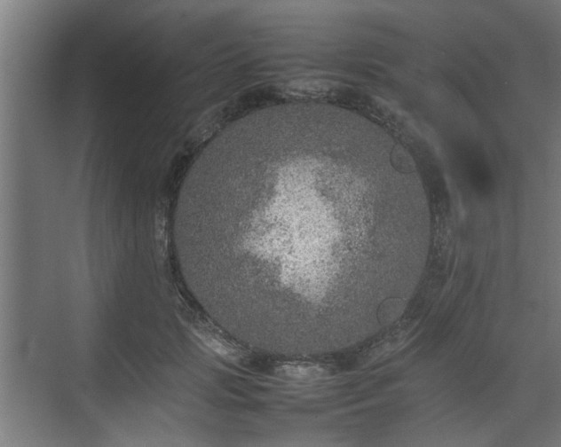 X0000074970749200609081411