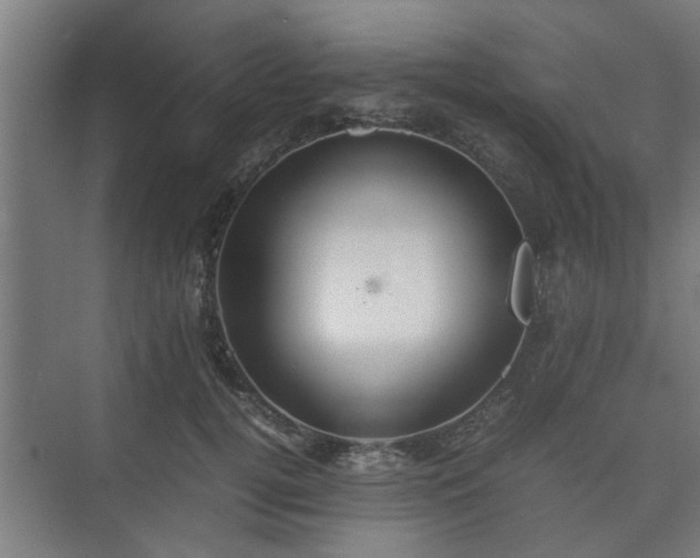 X0000074970752200609081411