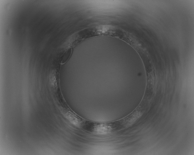 X0000074970754200609081411